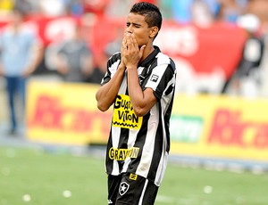 Everton Botafogo (Foto: André Durão / Globoesporte.com)