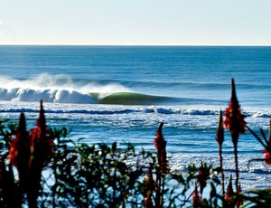 Surfe WQS de Gisborne Nova Zelândia (Foto: Divulgação)