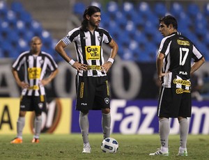 Botafogo x Avaí (Foto: Agência Globo)