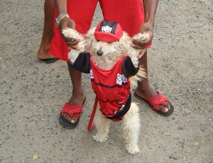 cachorro uniformizado (Foto: Bruno Wendel/Globoesporte.com)