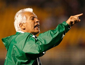 Leão ex-técnico do Goiás (Foto: Ag. Estado)