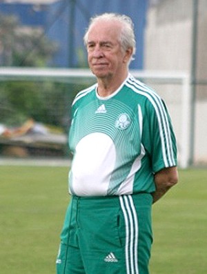 VALDIR JOAQUIM DE MORAES Palmeiras (Foto: Site Oficial do Clube)
