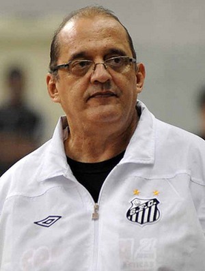 Fernando Ferretti, técnico de futsal do Santos (Foto: Divulgação/Santos FC)