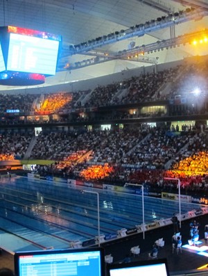 mundial natação xangai torcida chinesa (Foto: Lydia Gismondi / GLOBOESPORTE.COM)