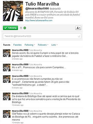 twitter Túlio Botafogo (Foto: Reprodução / Twitter)