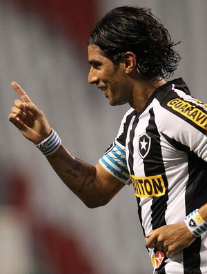 Loco Abreu gol Botafogo (Foto: Fernando Soutello / AGIF)