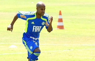 Marcos Assunção, do Palmeiras (Foto: Marcos Ribolli / globoesporte.com)