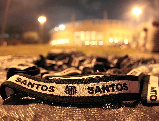 torcida do Santos chegando ao Pacaembu para o jogo da Libertadores (Foto: Miguel Schincariol / Globoesporte.com)