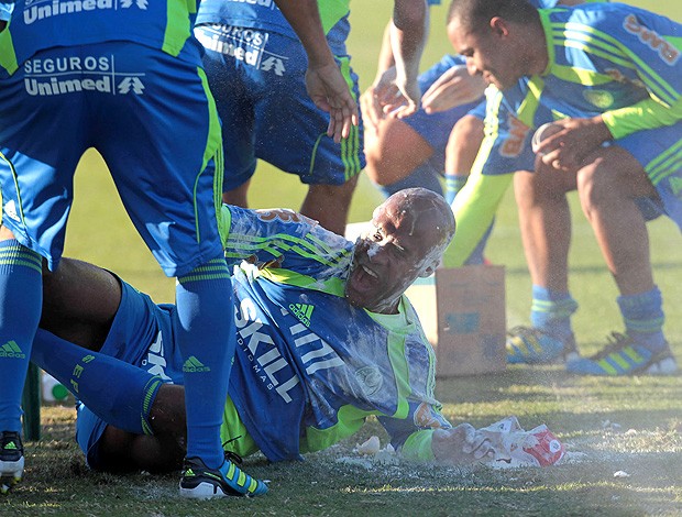 Marcos Assunção ovo treino Palmeiras (Foto: Ag. Estado)