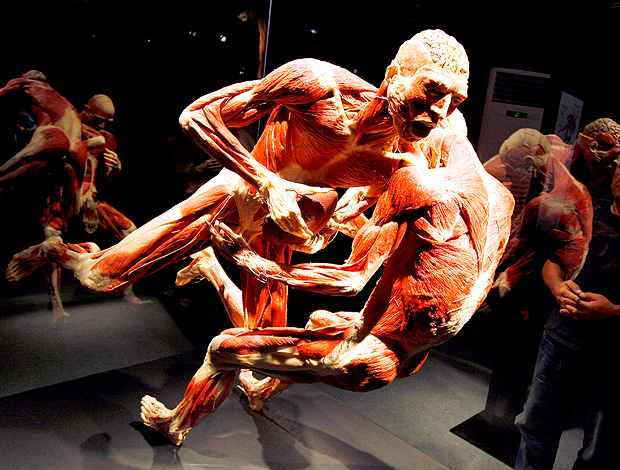 Exposição corpo humano basquete, ginástica e rúgbi