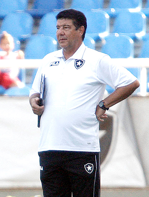 Joel Santana Botafogo (Foto: Ag. Estado)