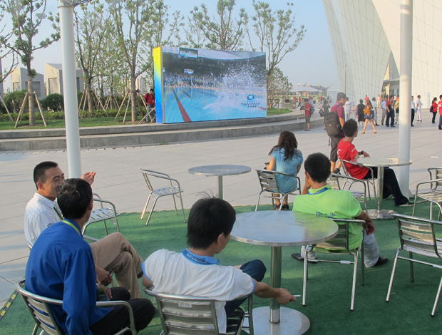 mundial natação xangai torcida chinesa (Foto: Lydia Gismondi / GLOBOESPORTE.COM)