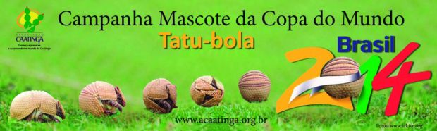 Campanha tatu-bola para mascote para Copa do Mundo de 2014 (Foto: Divulgação/Associação Caatinga)