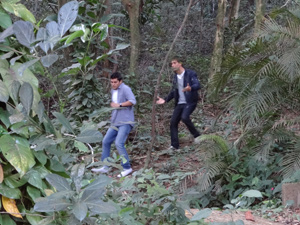 Pedro e Guilherme procuram Catarina  (Foto: Malhação / TV Globo)