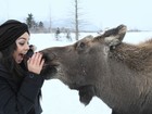 No Alasca, Vanessa Hudgens quase ganha beijinho de um alce