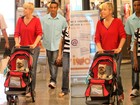 Xuxa leva cachorro para passear em carrinho de bebê