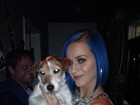 Katy Perry tira foto com cachorrinho do filme 'O Artista'