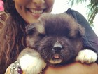 Juliana Paes cobiça cão fofinho, tira foto e posta no Twitter