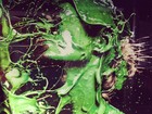 Ousada! Adriane Galisteu toma banho de tinta verde no rosto