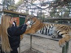 Mulher Filé visita zoológico na Argentina e dá mamadeira a tigre
