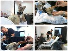 Xuxa impede cabeleireiro de cortar franja do cão Dudu, que faz 5 anos 