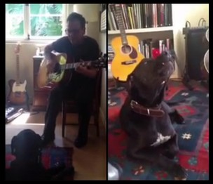 Kiefer Sutherland posta vídeo tocando com o cachorro (Foto: YouTube / Reprodução)