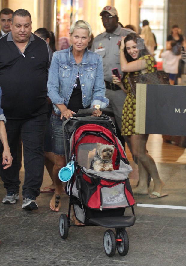 Xuxa passeia com o cachorro em shopping do Rio (Foto: Marcus Pavão / AgNews)