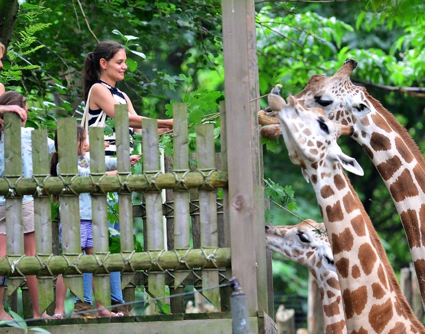 Suri e Katie Holmes alimentam as girafas no zoológico (Foto: Getty Images)