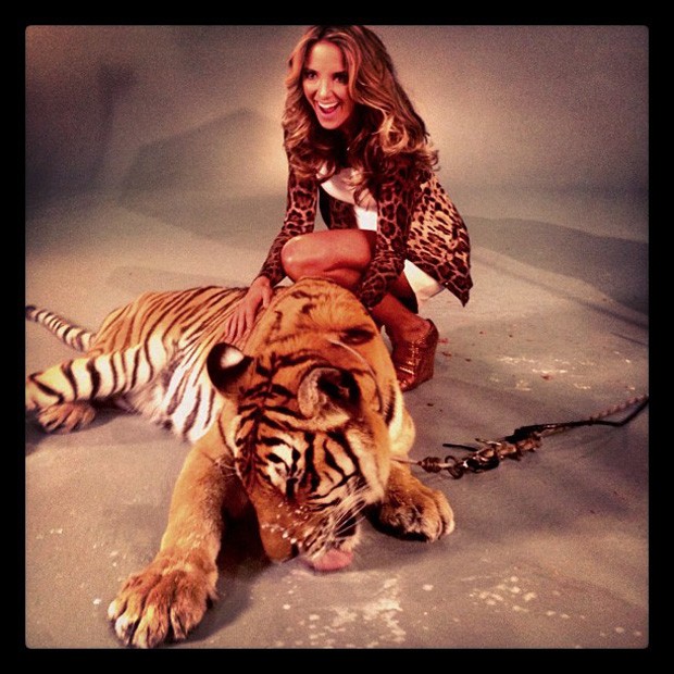 Ticiane Pinheiro posta foto com um tigre em bastidores de programa (Foto: Instagram / Reprodução)
