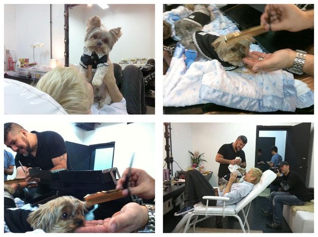 Xuxa posta foto do cachorro, Dudu, aparando a 'franja' (Foto: Facebook / Reprodução)