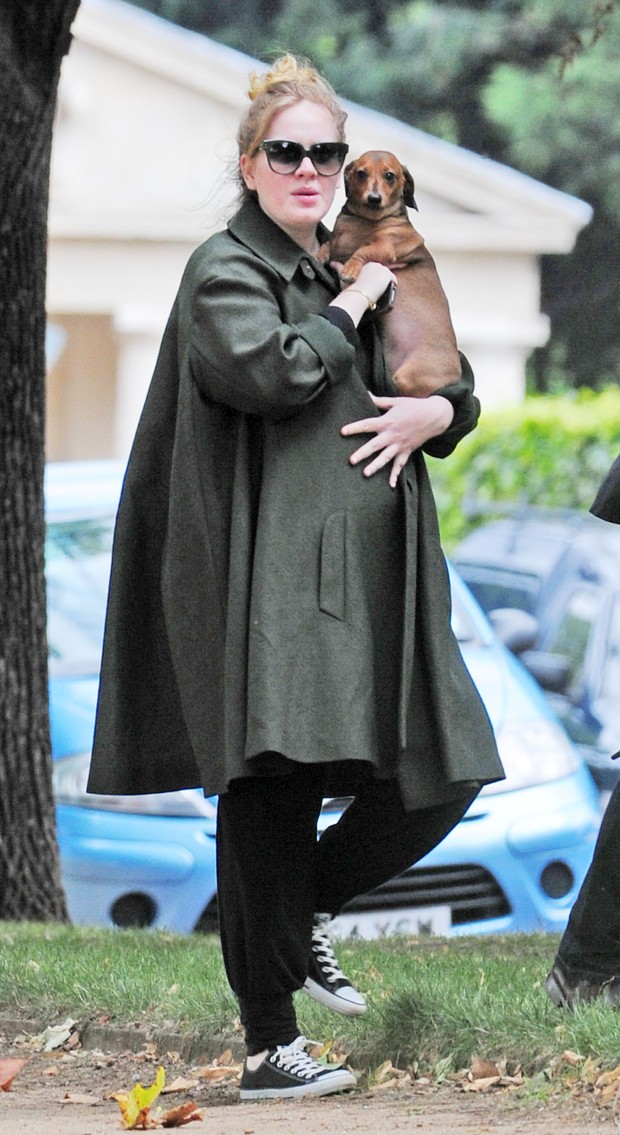 Prestes a dar à luz seu primeiro filho, Adele passeia com seu cachorro de estimação em Londres, na Inglaterra (Foto: Grosby Group/ Agência)