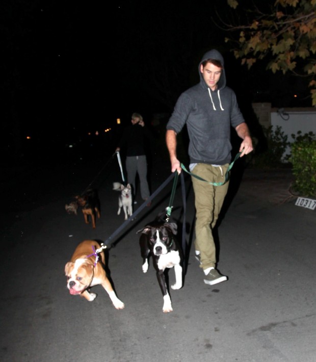 Miley Cyrus se esconde dos flashes ao passear com cachorros e o namorado, Liam Hemsworth (Foto: X17/Agência)