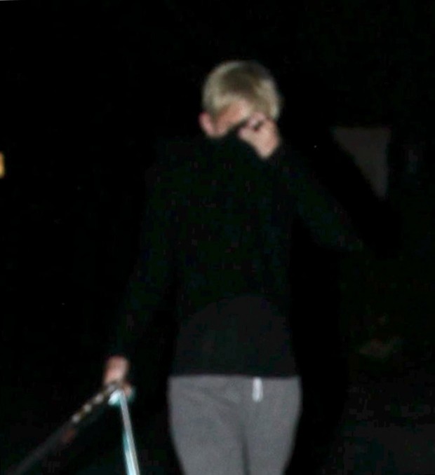 Miley Cyrus se esconde dos flashes ao passear com cachorros (Foto: X17/Agência)