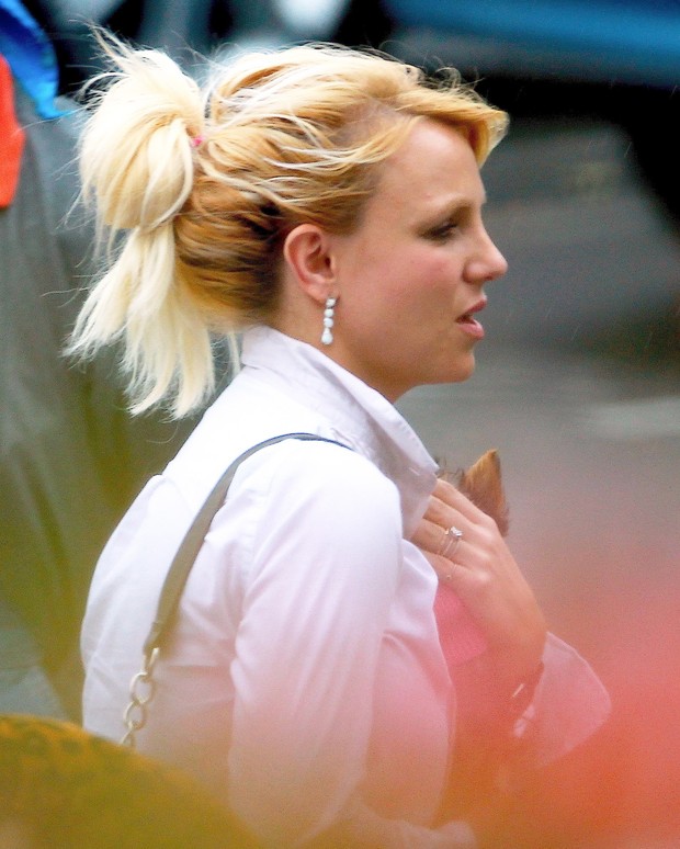 Britney Spears  (Foto: X17 / Agência)