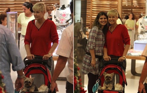 Xuxa passeia com o cachorro em shopping do Rio (Foto: Delson Silva / Ag News)