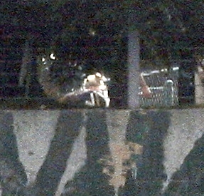 Lindsay Lohan faz ensaio secreto em mansão de Beverly Hills (Foto: X17/Agência)