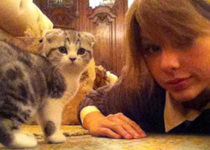 Taylor Swift e sua nova gatinha: "Meredith" (Foto: Reprodução / Twitter)