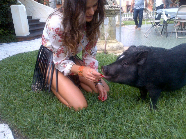 Isabeli Fontana com porquinho em ensaio fotográfico (Foto: Reprodução/Twitter)