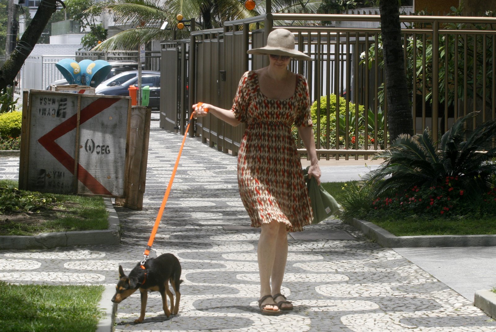 Júlia Lemmertz passeia com o cachorrinho