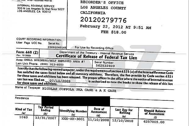 Formulário de pagamento de imposto de renda de Nicolas Cage (Foto: Reprodução/TMZ)