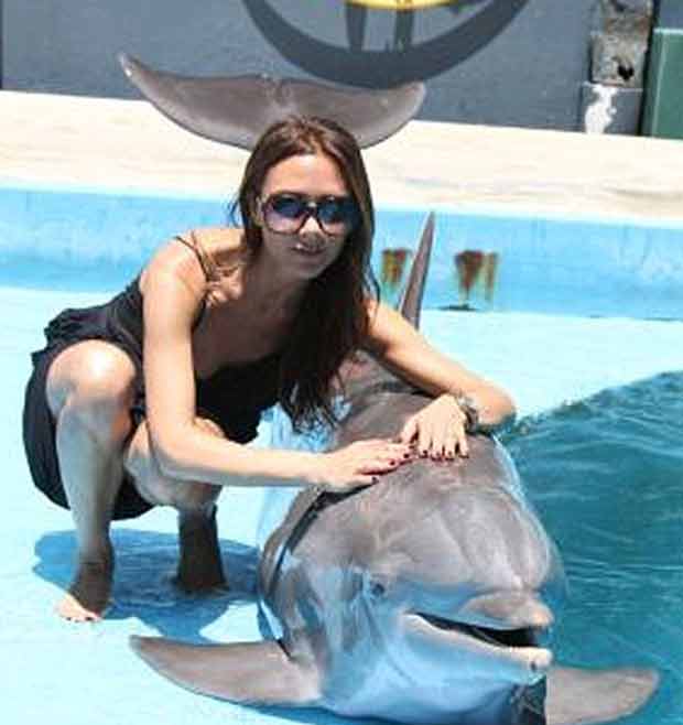 Victoria Beckham posa com golfinho (Foto: Reprodução/Twitter)