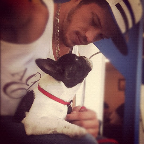 José Loreto posta foto com cãozinho (Foto: Instagram / Reprodução)