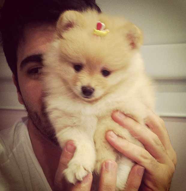 Adriana posta foto de Rodrigão com seu cachorrinho (Foto: Reprodução/Instagram)