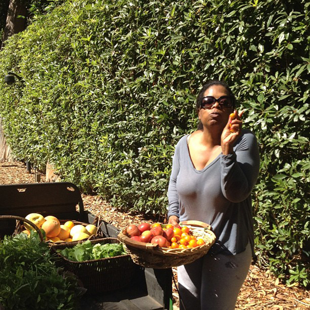 Oprah Winfrey devorando tomate cereja (Foto: Instagram / Reprodução)