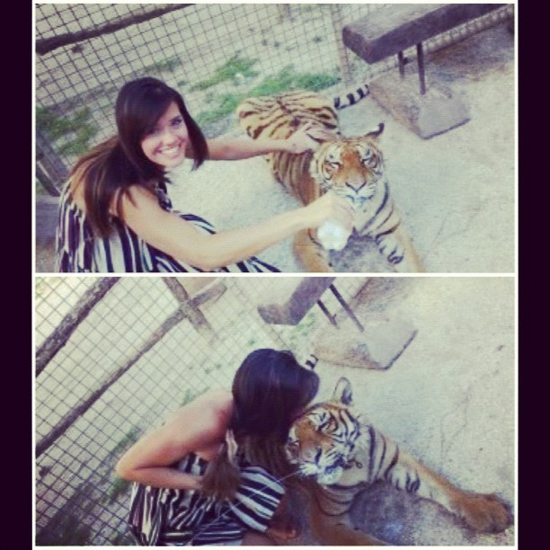 Talula amamentando o tigre (Foto: Instagram / Reprodução)