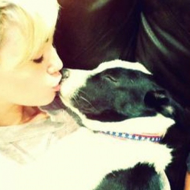 Miley Cyrus beija cachorro (Foto: Instagram)