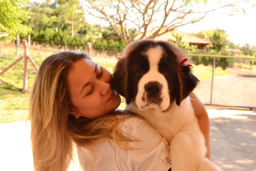 O nome dessa cadelinha fofa é... Gordelícia! “Minha pequena ainda bebê!”, diz Raquel Tasca, do Paraná.