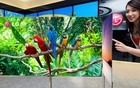 Empresa apresenta maior TV  OLED do mundo (Divulgação)
