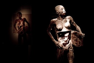 Exposição "O fantástico corpo humano" (Foto: Divulgação)