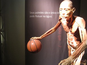 Exposição "O fantástico corpo humano" (Foto: Divulgação)
